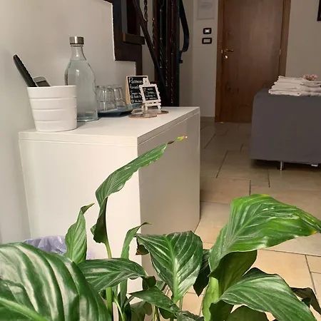 Il Moretto Bed & Breakfast